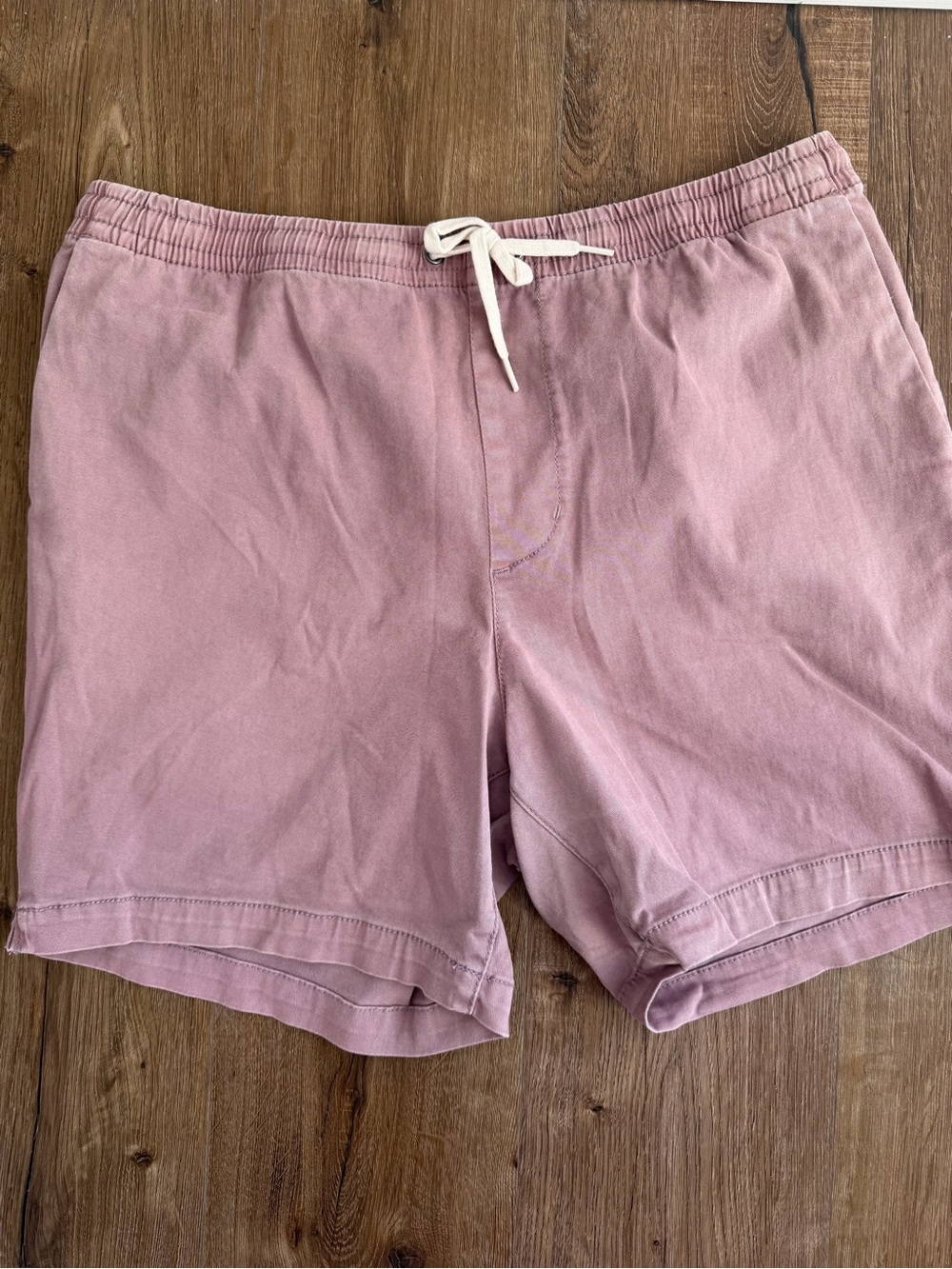 PacSun Mauve/Pink Drawstring Men's Shorts Volley Large